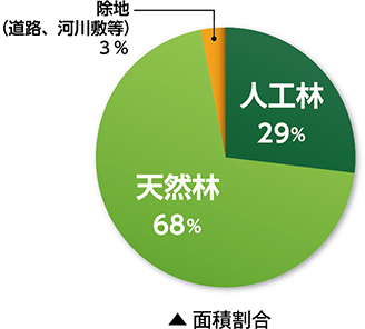 面積割合のグラフ画像（人工林28％　天然林69％　除地（道路、河川敷等）3％）