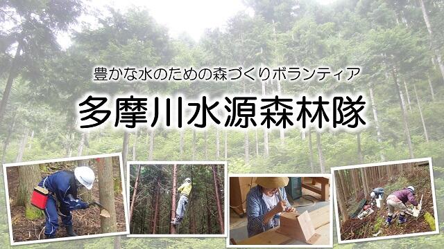 多摩川水源森林隊