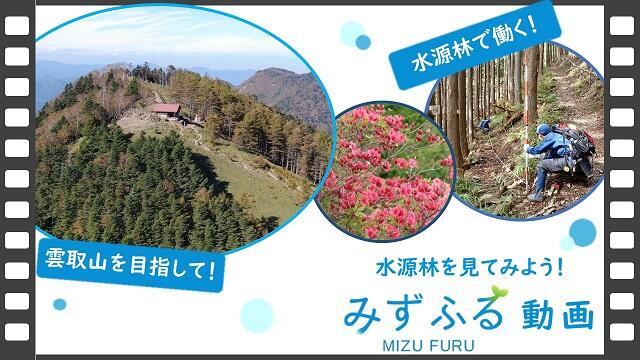 水源林を見てみよう