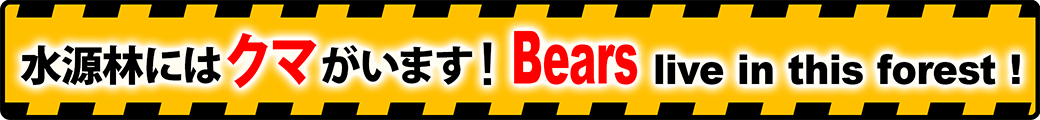 水源林にはクマがいます！
