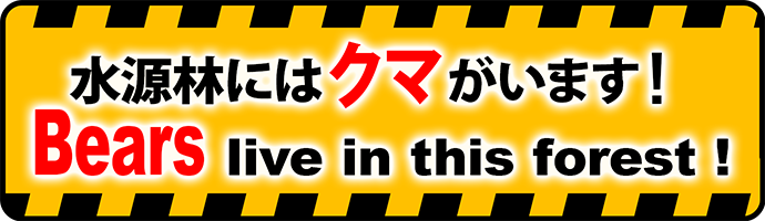 水源林にはクマがいます！