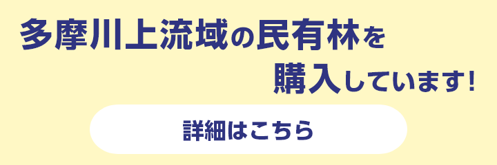 多摩川上流域の民有林を購入しています！　詳細はこちら