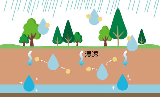 水質浄化機能の説明図