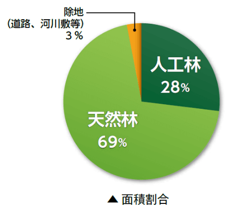 面積割合のグラフ画像（人工林28％　天然林69％　除地（道路、河川敷等）3％）