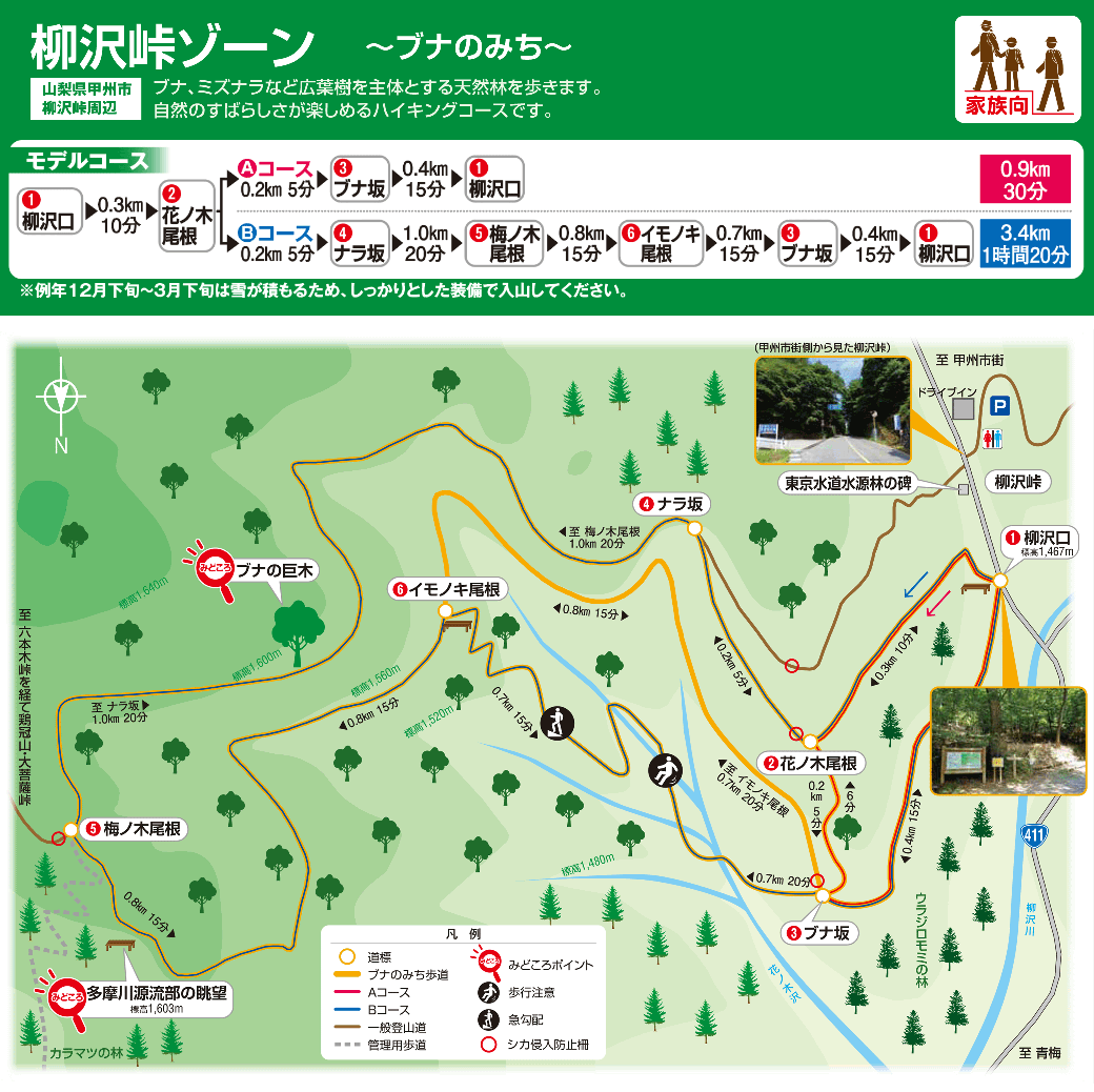 柳沢峠ゾーン（ブナのみち）ガイドマップ