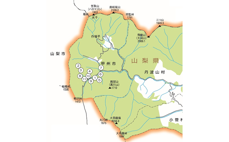 企業の森の地図