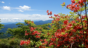 多摩川水源サポーター