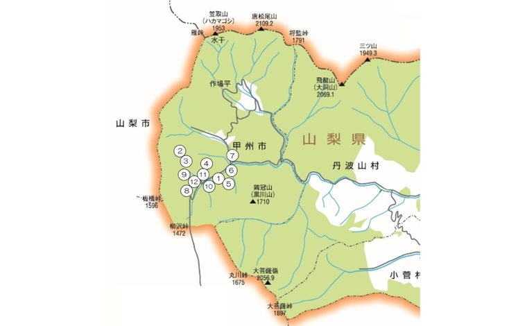 企業の森の地図